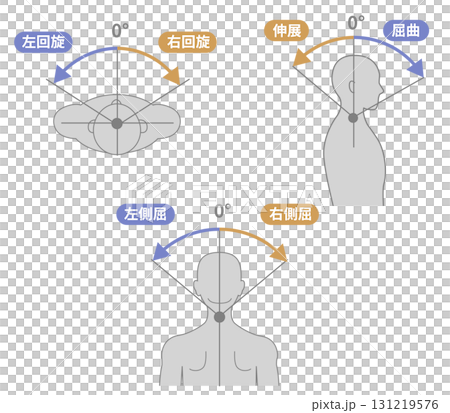 頸部、首の可動域　ROMイラストセット 131219576
