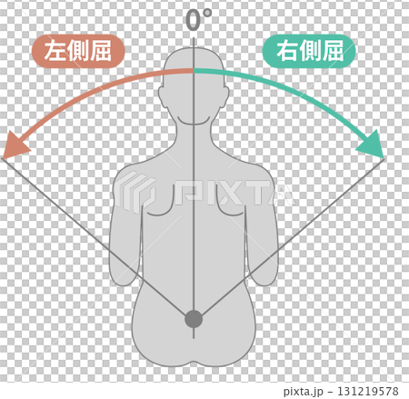 胸部腰部、軀幹活動範圍 ROM 圖示 131219578