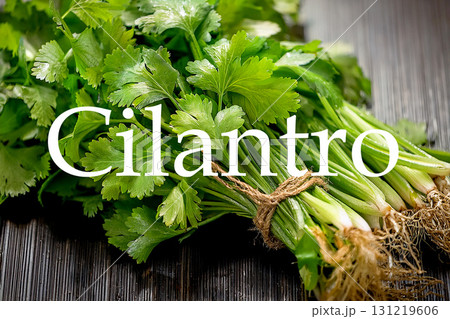 パクチーと英語のスペル（Cilantro) 131219606