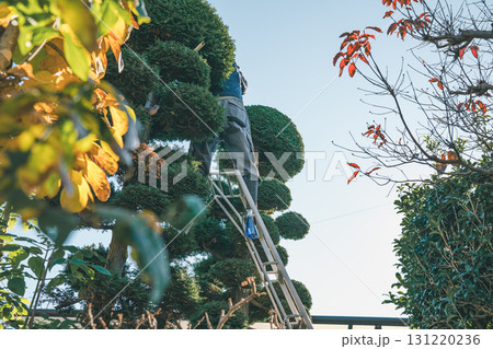 Japanese Gardener 131220236