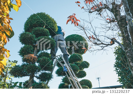 Japanese Gardener 131220237