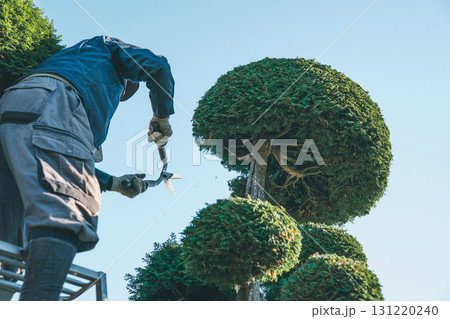 gardener 131220240