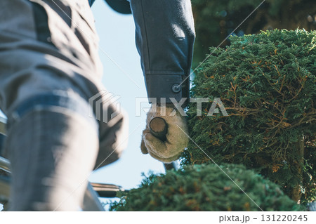 Japanese Gardener Japanese Gardener 131220245