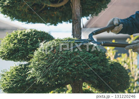 Japanese Gardener Japanese Gardener 131220246