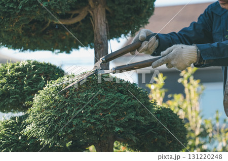 Japanese Gardener Japanese Gardener 131220248