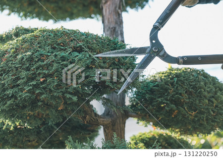 gardener 131220250