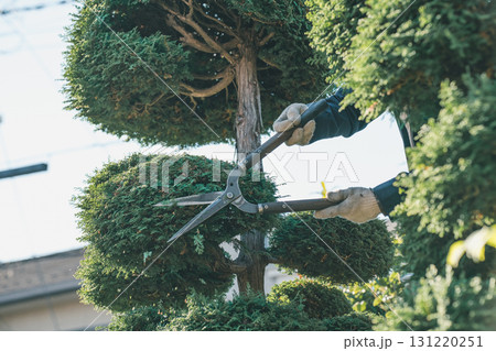 Japanese Gardener 131220251