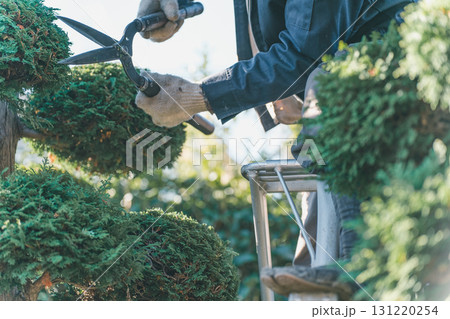 Japanese Gardener Japanese Gardener 131220254