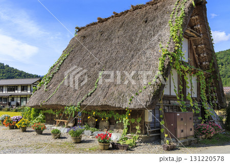 白川郷の茅葺屋根に咲くヘチマと秋の風景 白川郷の茅葺屋根に咲くヘチマと秋の風景 131220578