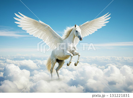 Pegasus☆ペガサス☆天馬 131221831
