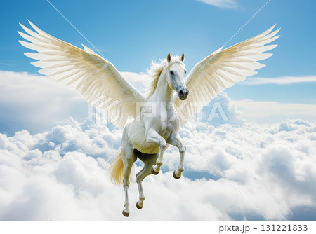 Pegasus☆ペガサス☆天馬 131221833