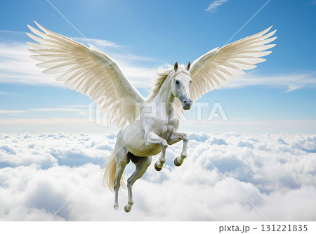 Pegasus☆ペガサス☆天馬 131221835
