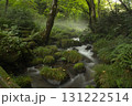 ブナの森　奥大山　木谷沢渓流　天然水のロケ地。 131222514