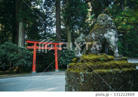 箱根神社 箱根神社 131222609