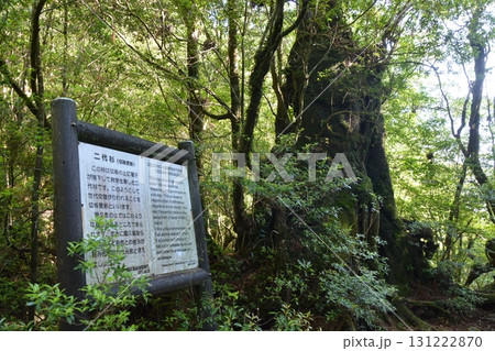 屋久島トレッキングの風景 131222870