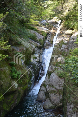 屋久島トレッキングの風景 131222882