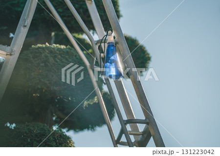 Japanese Gardener 131223042