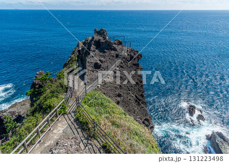 静岡県南伊豆 伊豆最南端の石廊崎 静岡県南伊豆 伊豆最南端の石廊崎 131223498