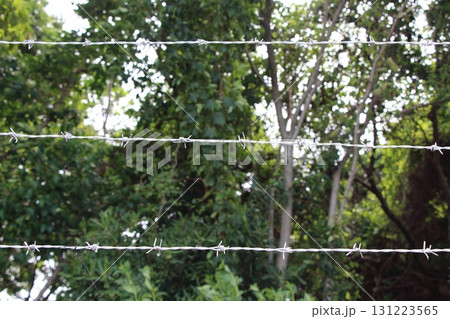侵入を防ぐために張られた数本の硬い有刺鉄線 131223565