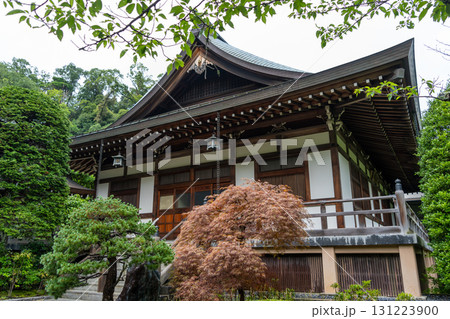 Hokoku-ji bamboo temple surrounded by trees in Kamakura, Japan 131223900