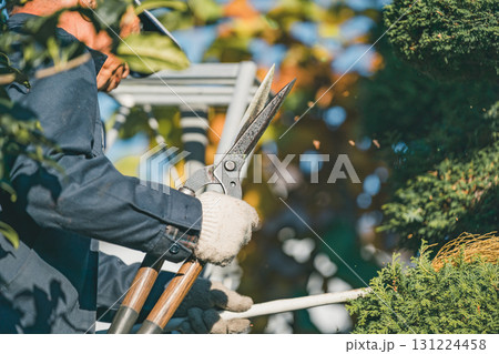 Japanese Gardener 131224458