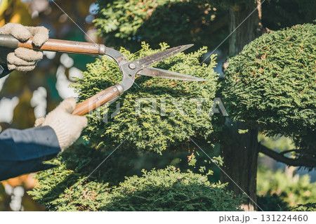 Japanese Gardener Japanese Gardener 131224460