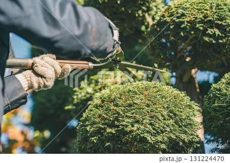 Japanese Gardener Japanese Gardener 131224470