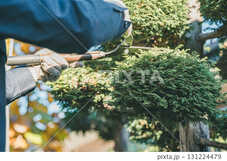 Japanese Gardener Japanese Gardener 131224479