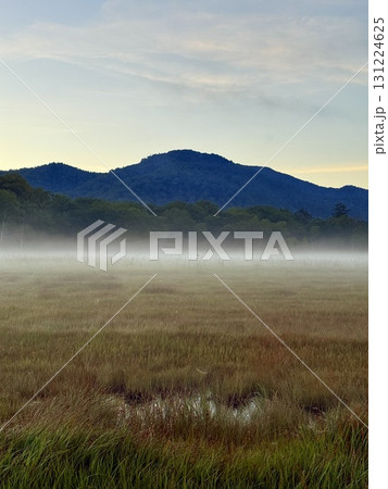 群馬・尾瀬ヶ原の湿原と木道、夏の美しい風景 131224625