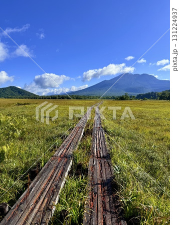 群馬・尾瀬ヶ原の木道と湿原の夏景色 群馬・尾瀬ヶ原の木道と湿原の夏景色 131224937