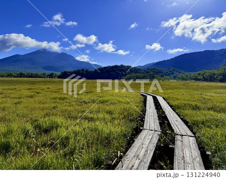 群馬・尾瀬ヶ原の木道と湿原の夏景色 群馬・尾瀬ヶ原の木道と湿原の夏景色 131224940