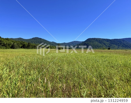 群馬・尾瀬ヶ原の木道と湿原の夏景色 群馬・尾瀬ヶ原の木道と湿原の夏景色 131224959