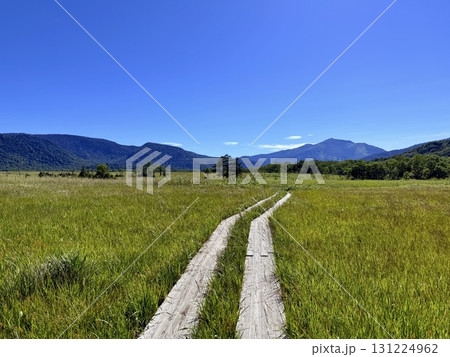 群馬・尾瀬ヶ原の木道と湿原の夏景色 群馬・尾瀬ヶ原の木道と湿原の夏景色 131224962