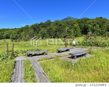 群馬・尾瀬ヶ原の木道と湿原の夏景色 群馬・尾瀬ヶ原の木道と湿原の夏景色 131224963