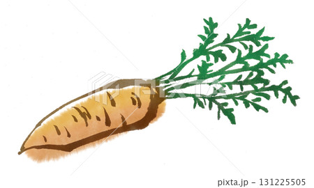 にんじんの墨絵 131225505