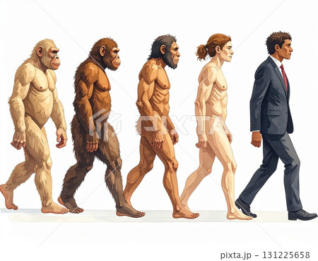 進化の過程　イラスト 131225658