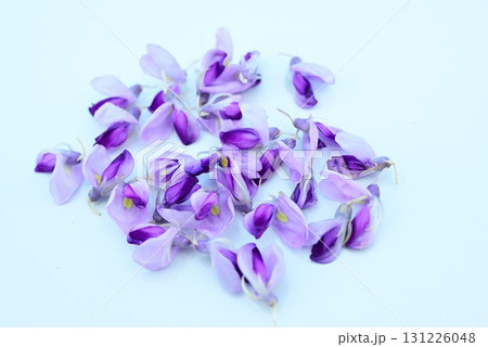 クズの花・葛・秋の七草・根は食材 生薬 クズの花・葛・秋の七草・根は食材 生薬 131226048