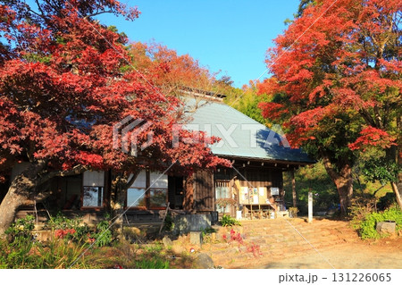 真っ赤な紅葉に覆われた緑水庵 真っ赤な紅葉に覆われた緑水庵 131226065