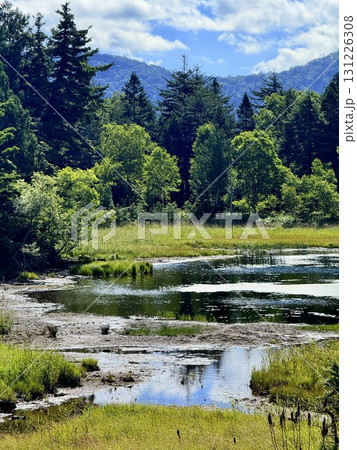 群馬・尾瀬ヶ原の尾瀬沼の木道と湿原の夏景色 群馬・尾瀬ヶ原の尾瀬沼の木道と湿原の夏景色 131226308