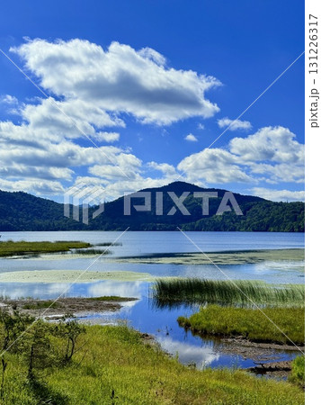 群馬・尾瀬ヶ原の尾瀬沼の木道と湿原の夏景色 131226317