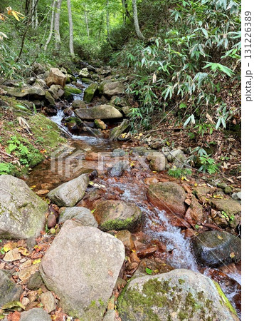 群馬・尾瀬ヶ原の尾瀬沼の木道と湿原の夏景色 131226389