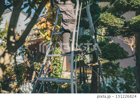 Japanese Gardener 131226824