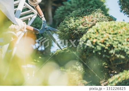 Japanese Gardener Japanese Gardener 131226825