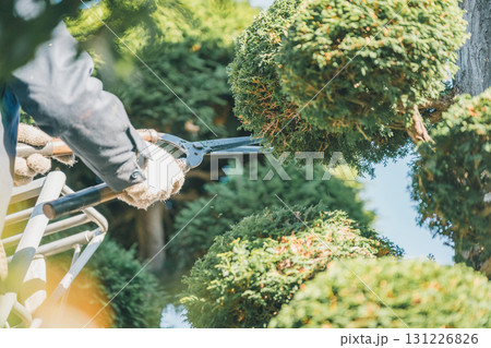 Japanese Gardener 131226826
