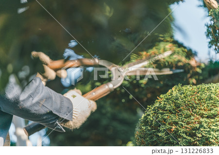 Japanese Gardener Japanese Gardener 131226833