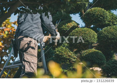 Japanese Gardener 131226839