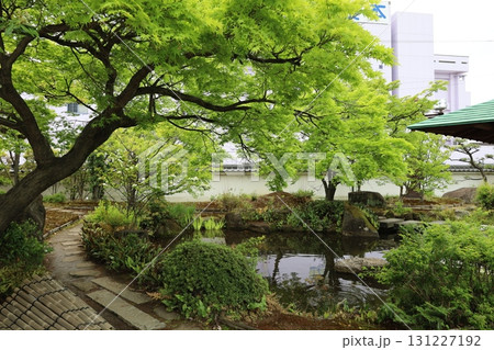 清州城の日本庭園【愛知県】 131227192