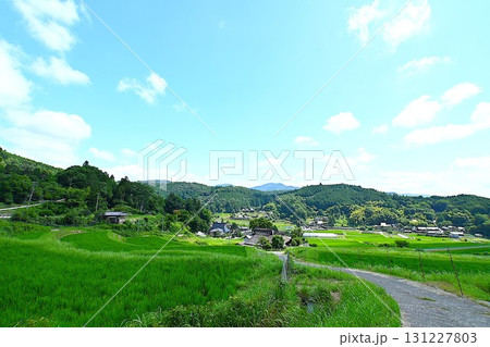 青空と棚田の美しい風景 青空と棚田の美しい風景 131227803