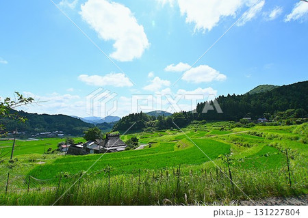青空と棚田の美しい風景 131227804