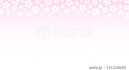 上部分に桜の花あるグラデーションの背景イラスト 131228030